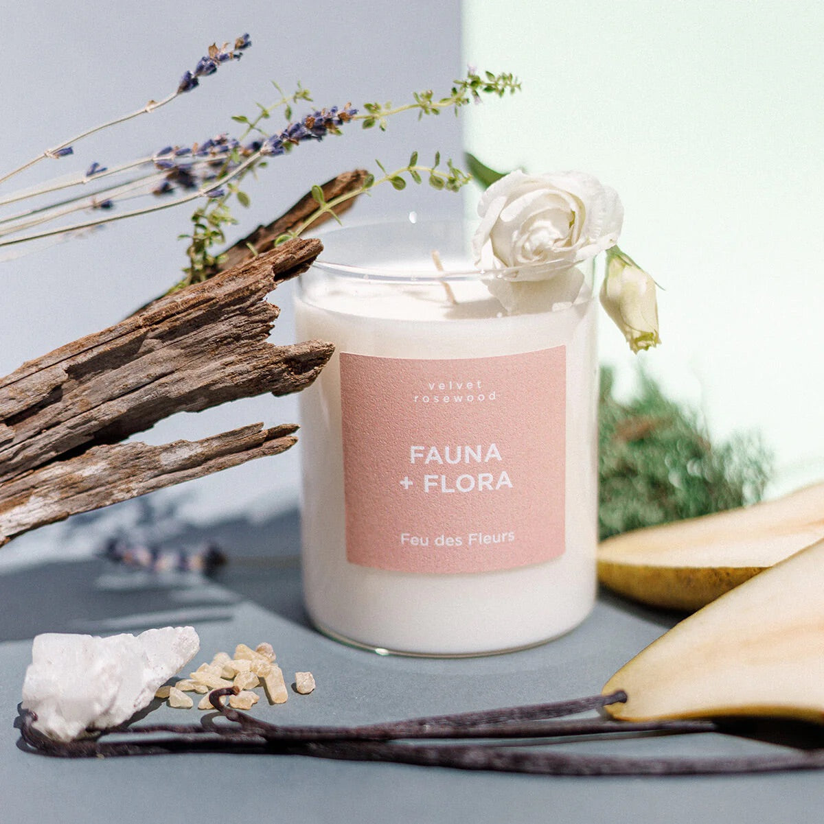 Mini Bougie Parfumée Fauna & Flora 50 g - Feu des Fleurs