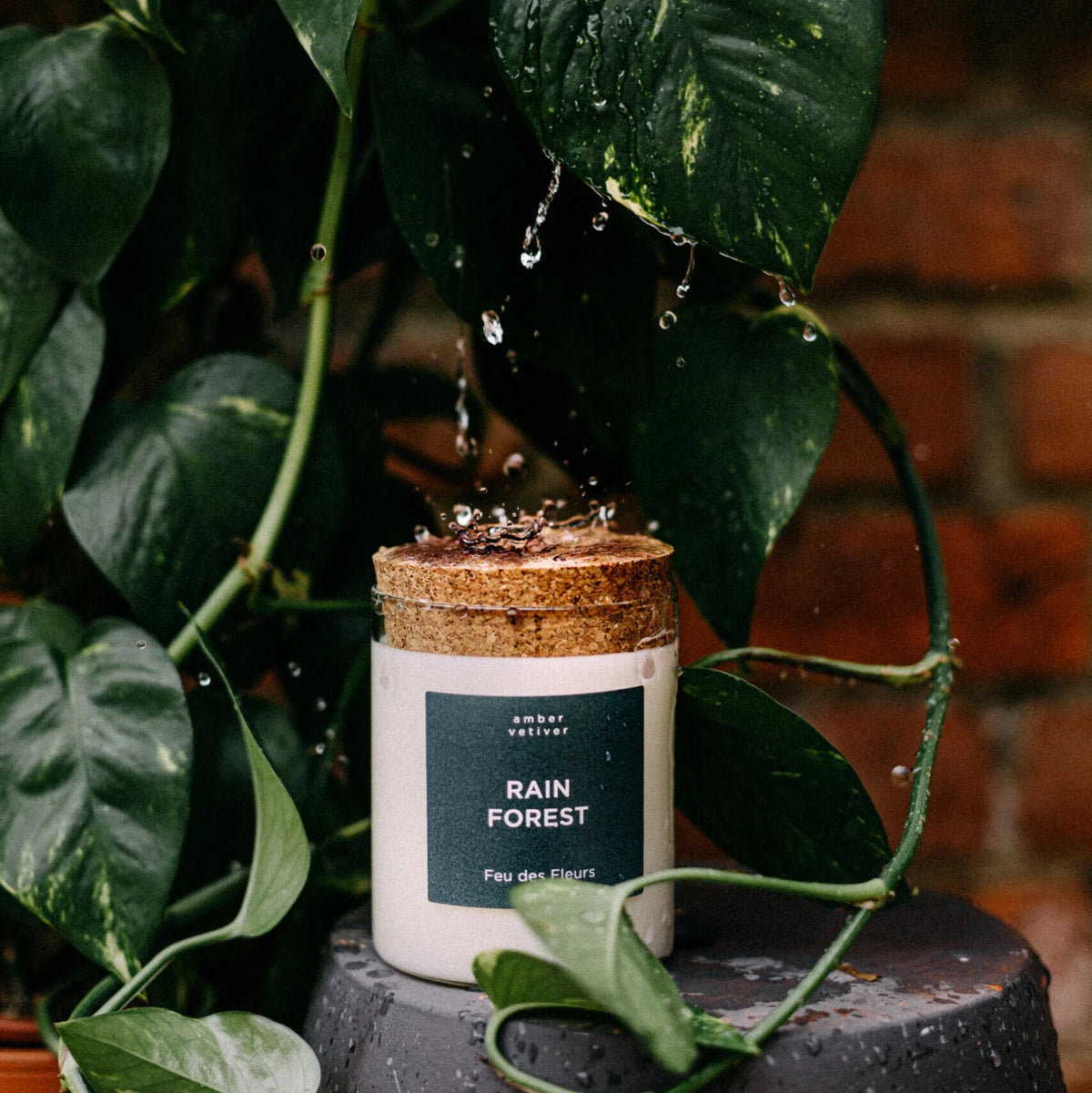 Mini Bougie Parfumée Rain Forest 50 g - Feu des Fleurs
