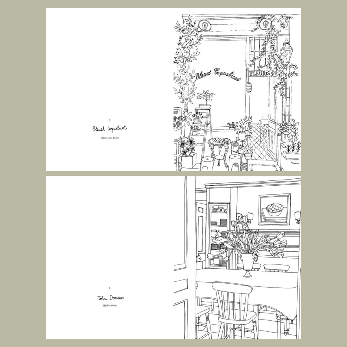 Pages intérieures du livre Fleurs carnet de coloriages par Zoé de las Cases