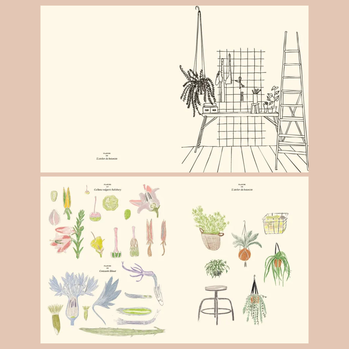 Pages intérieures du Livre de Coloriages et Stickers Le Jardin de Zoé de Las Cases